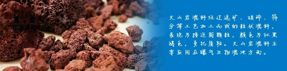 軟包裝食用油灌裝機(jī)